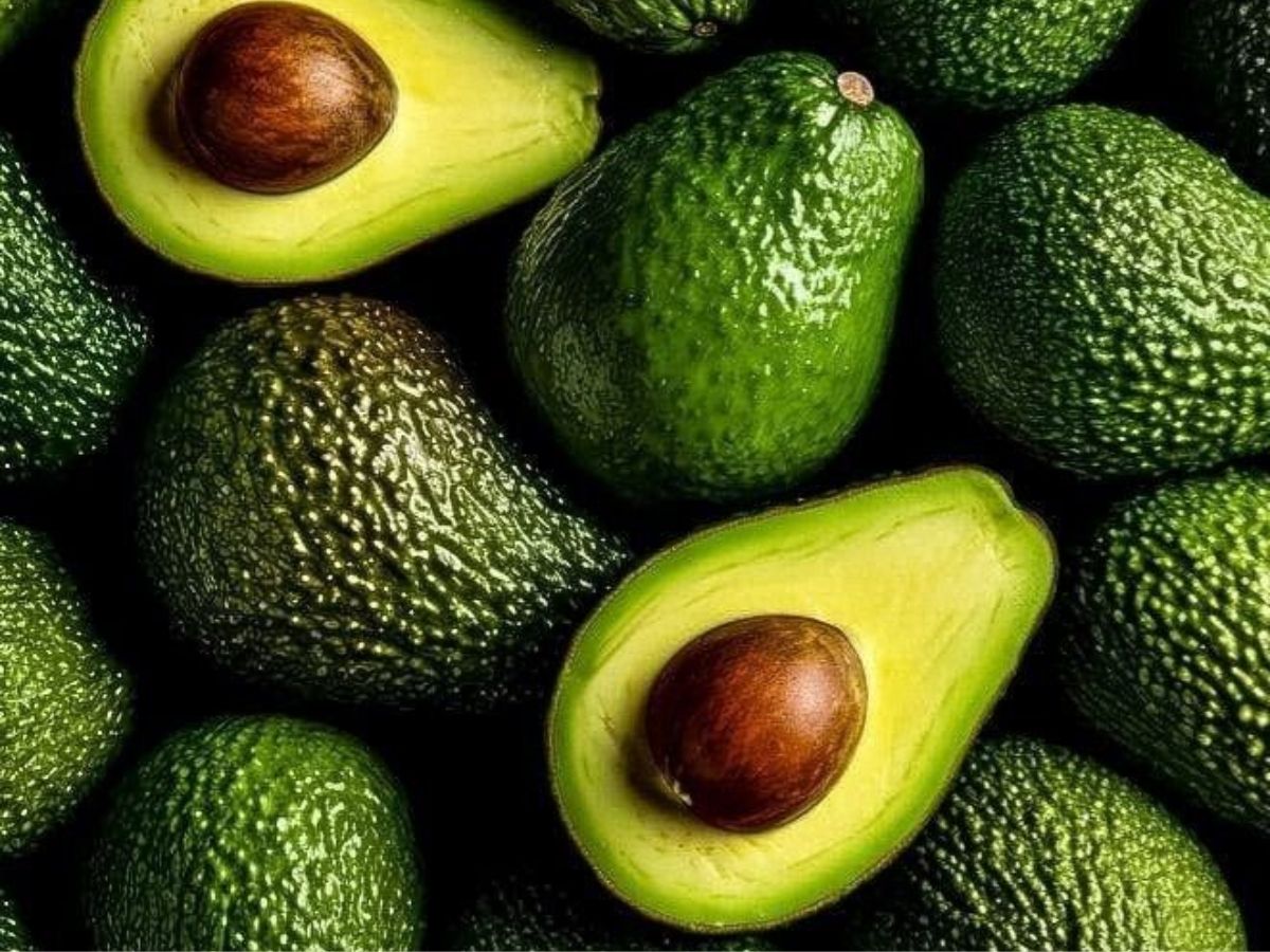 Watch for Roots and Sprout