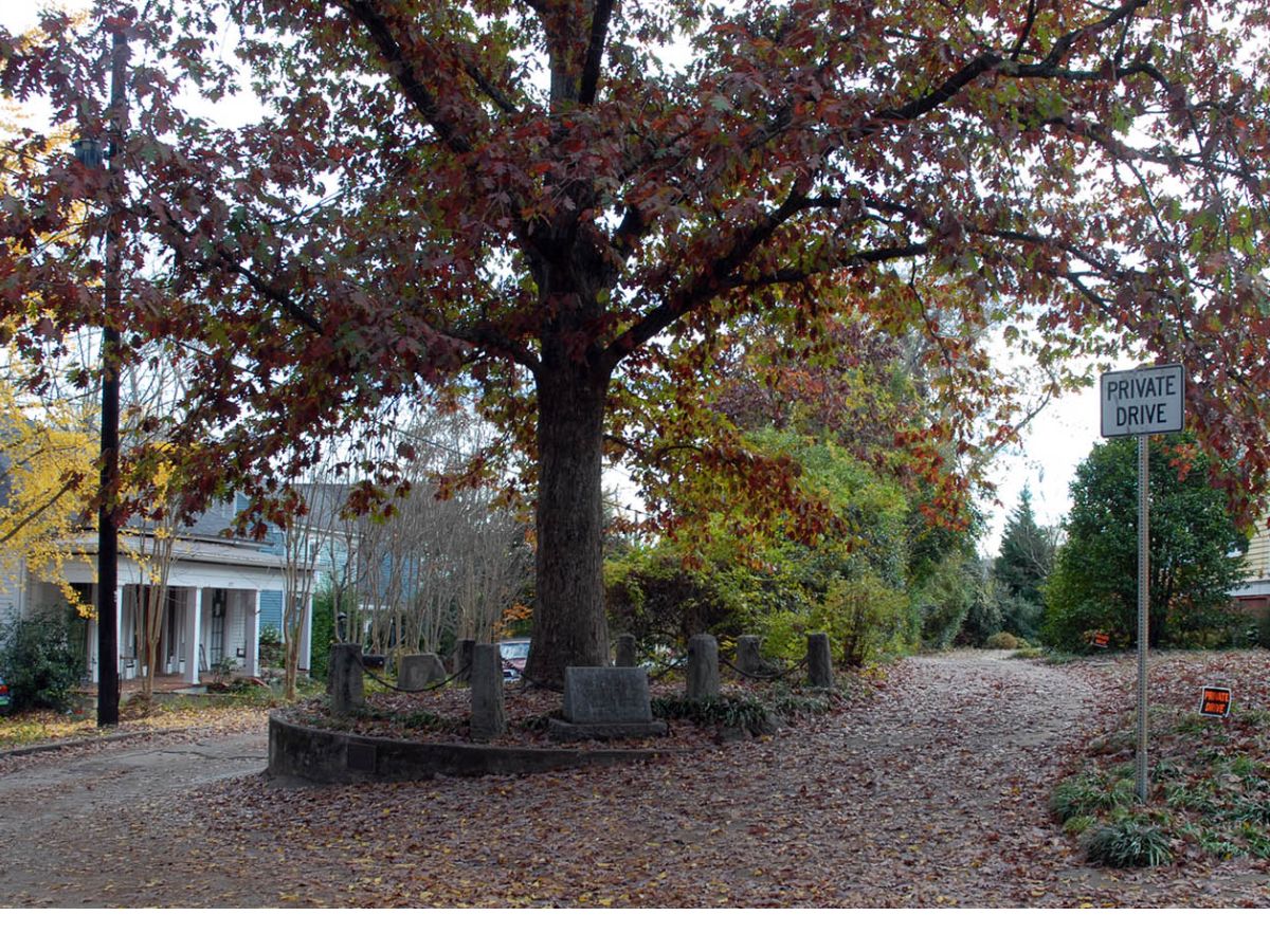 The Tree that Owns Itself, Georgia, USA