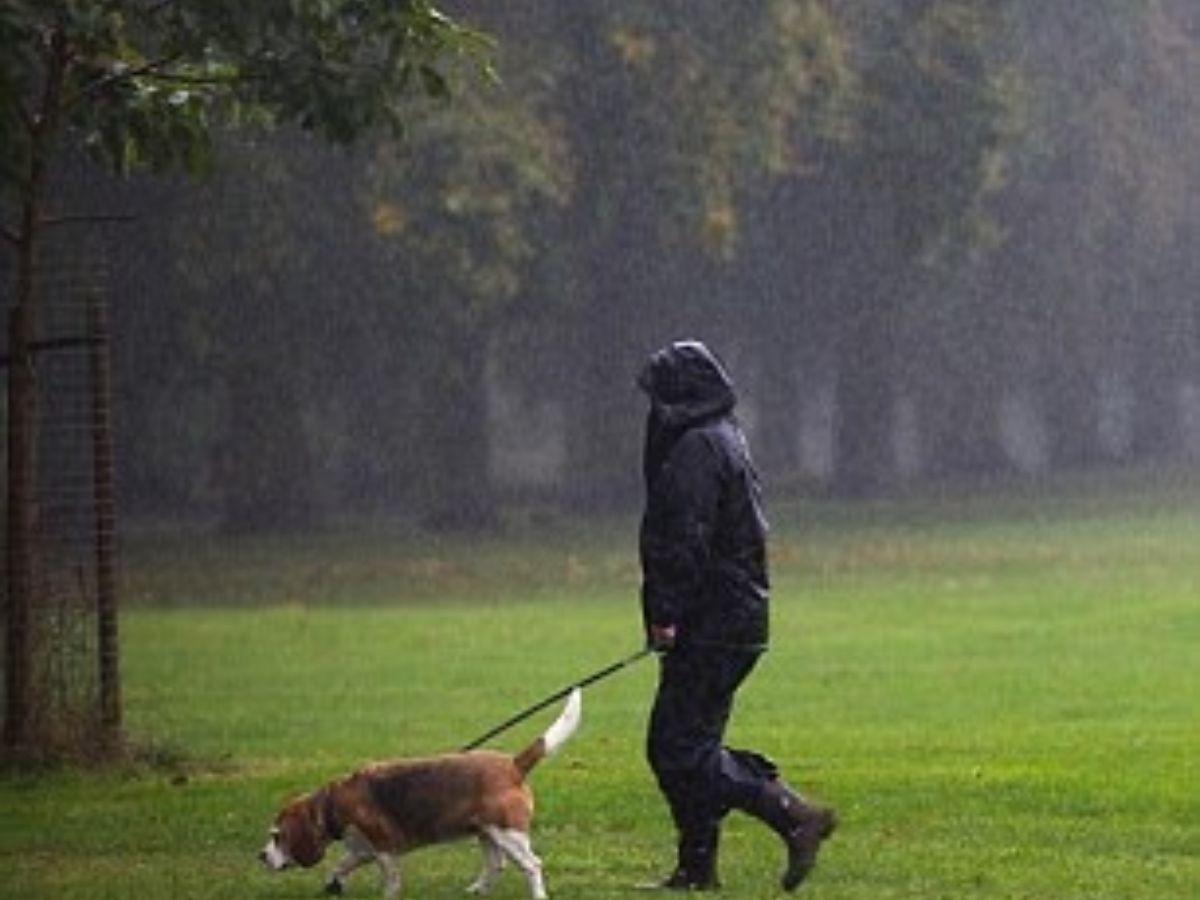 A person in a raincoat walking a dog in the rain on a grassy field.