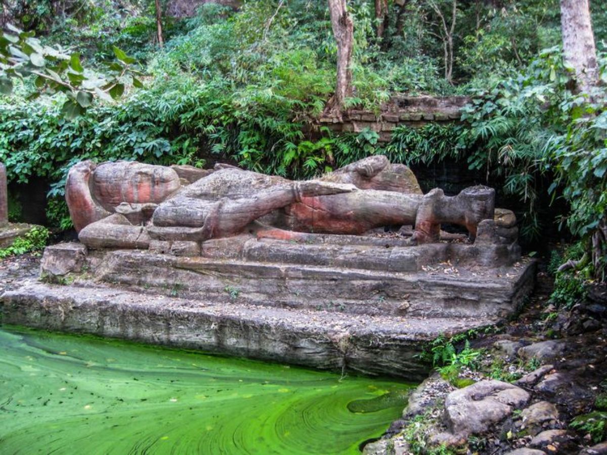 Bandhavgarh National Park – Madhya Pradesh