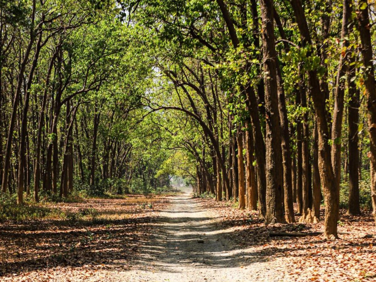 Jim Corbett National Park – Uttarakhand