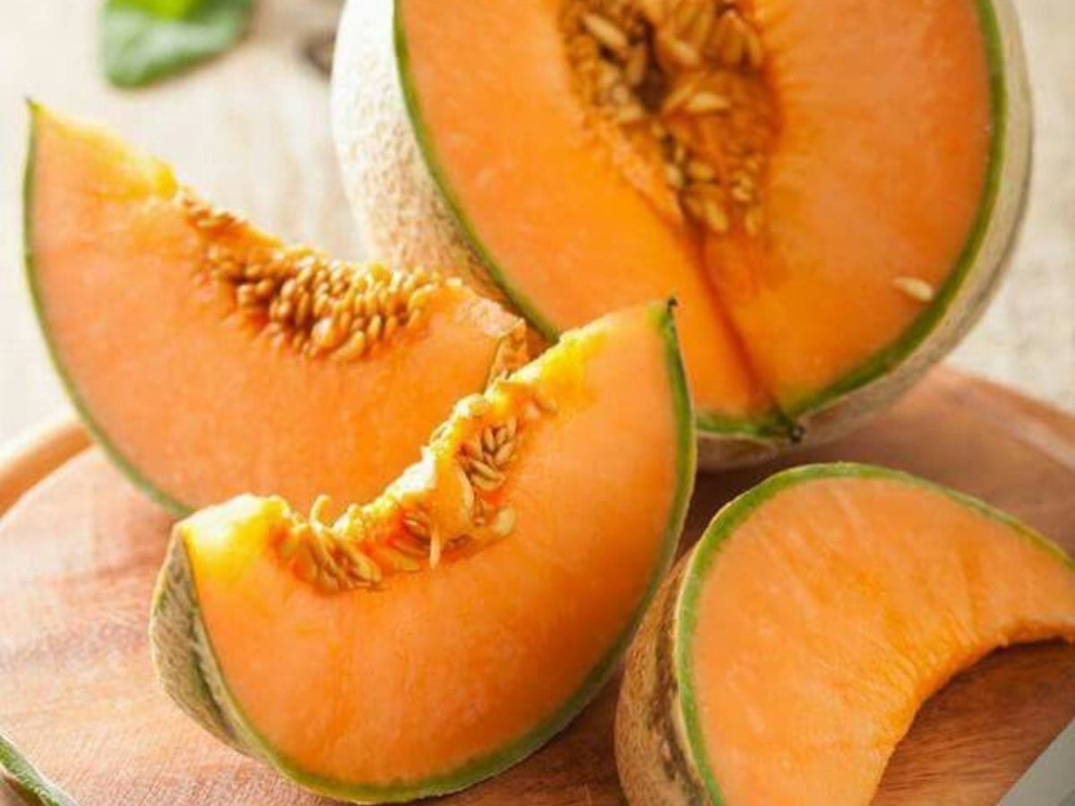 Muskmelon