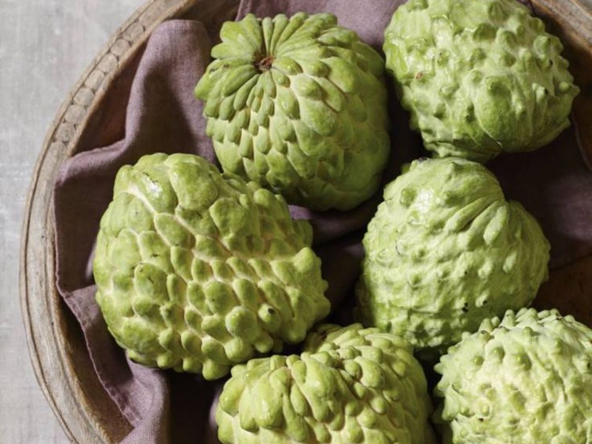 Custard Apple