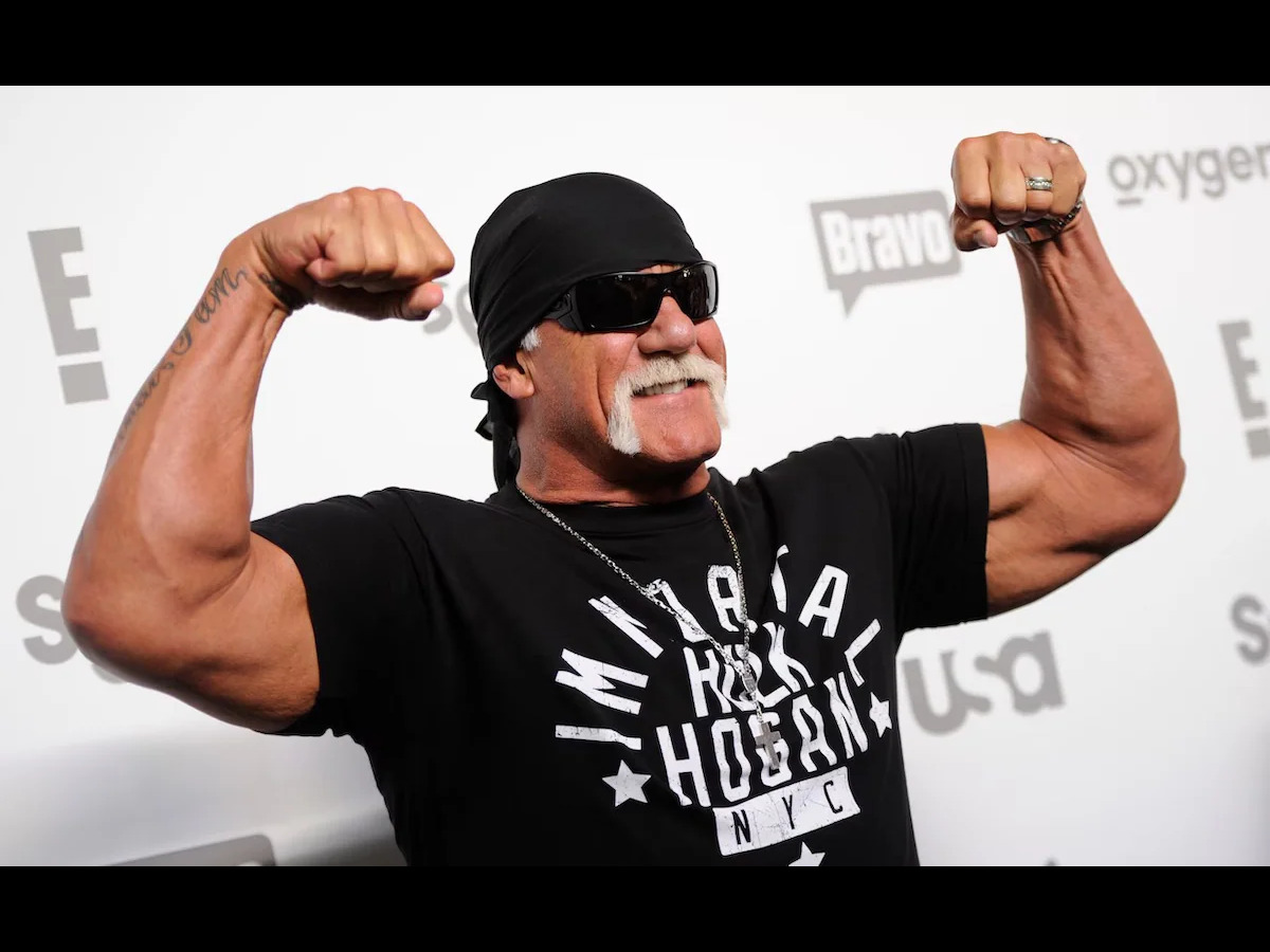 Hollywood Hogan and the New World Order