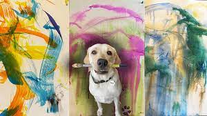 2-year-old Labrador Salvador Dali creating abstract art