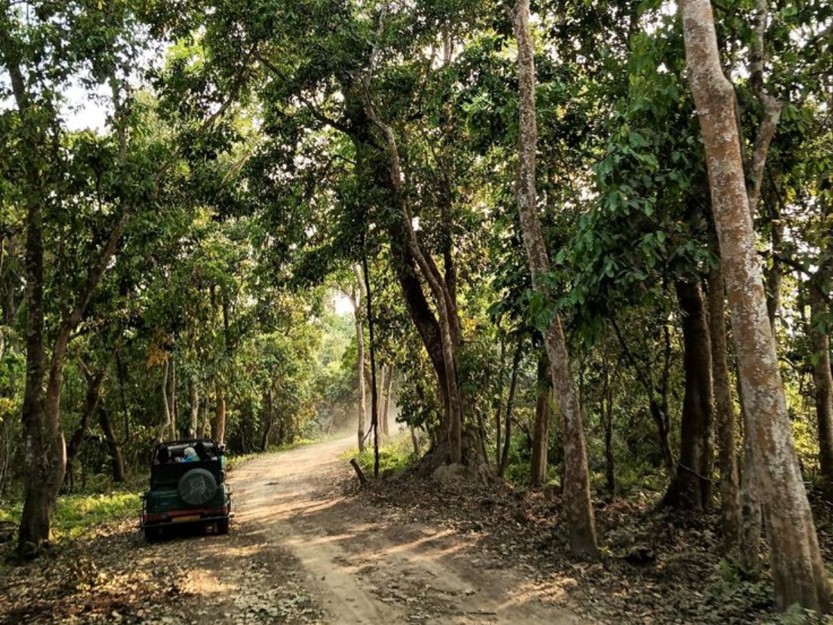 Kaziranga National Park – Assam