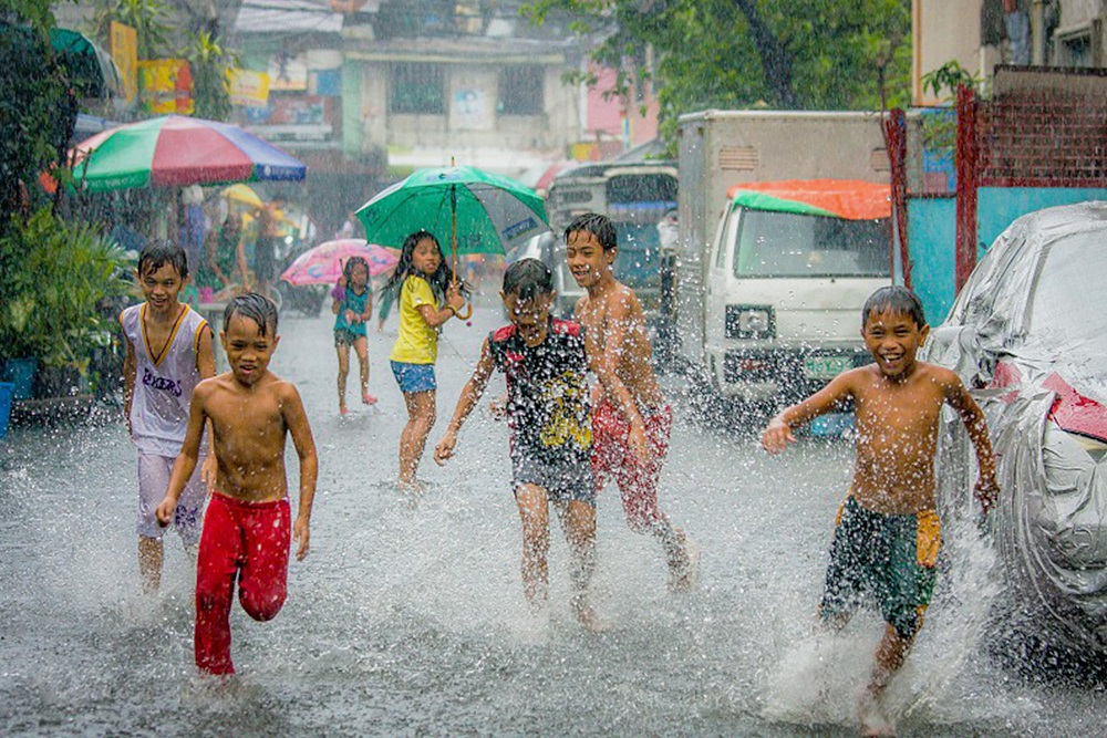 Farmer in lush cornfield