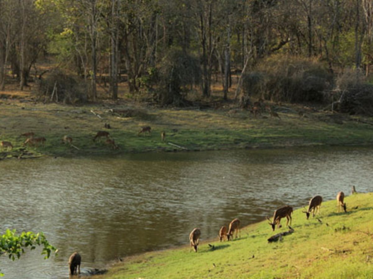 Nagarhole National Park – Karnataka