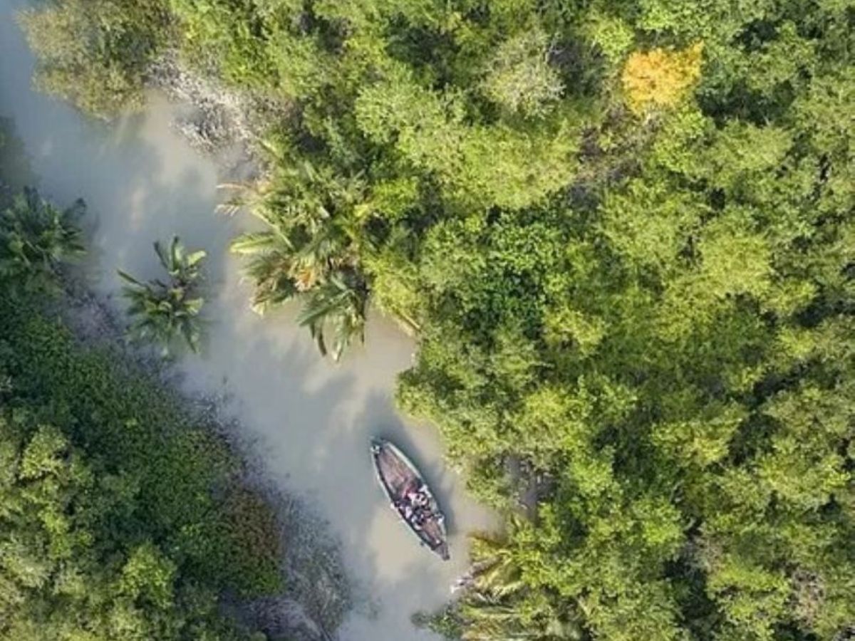 Sundarbans National Park – West Bengal
