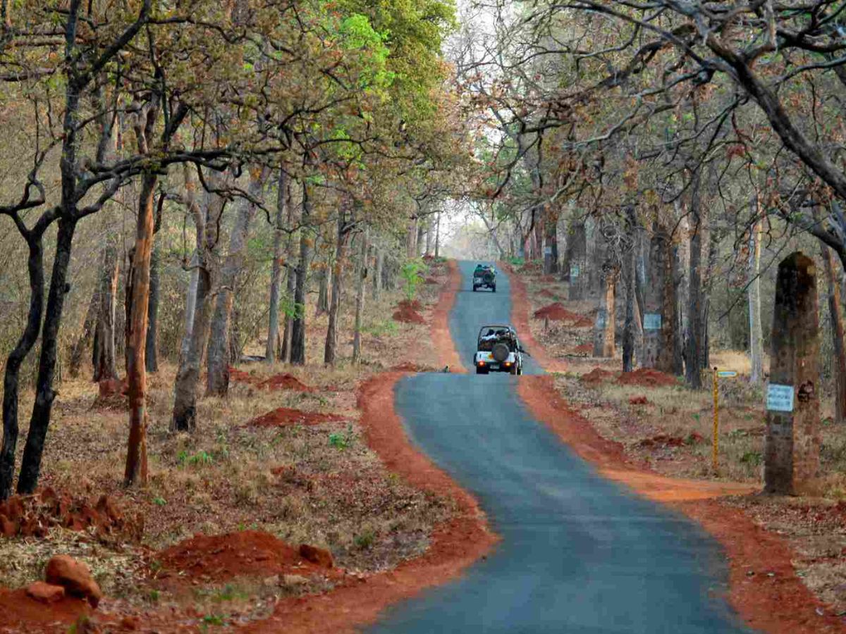 Tadoba Andhari Tiger Reserve – Maharashtra