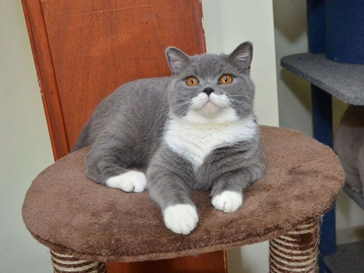 Training Helps But On Their Terms