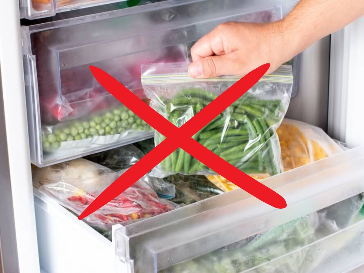 Chemicals in Plastic Wraps