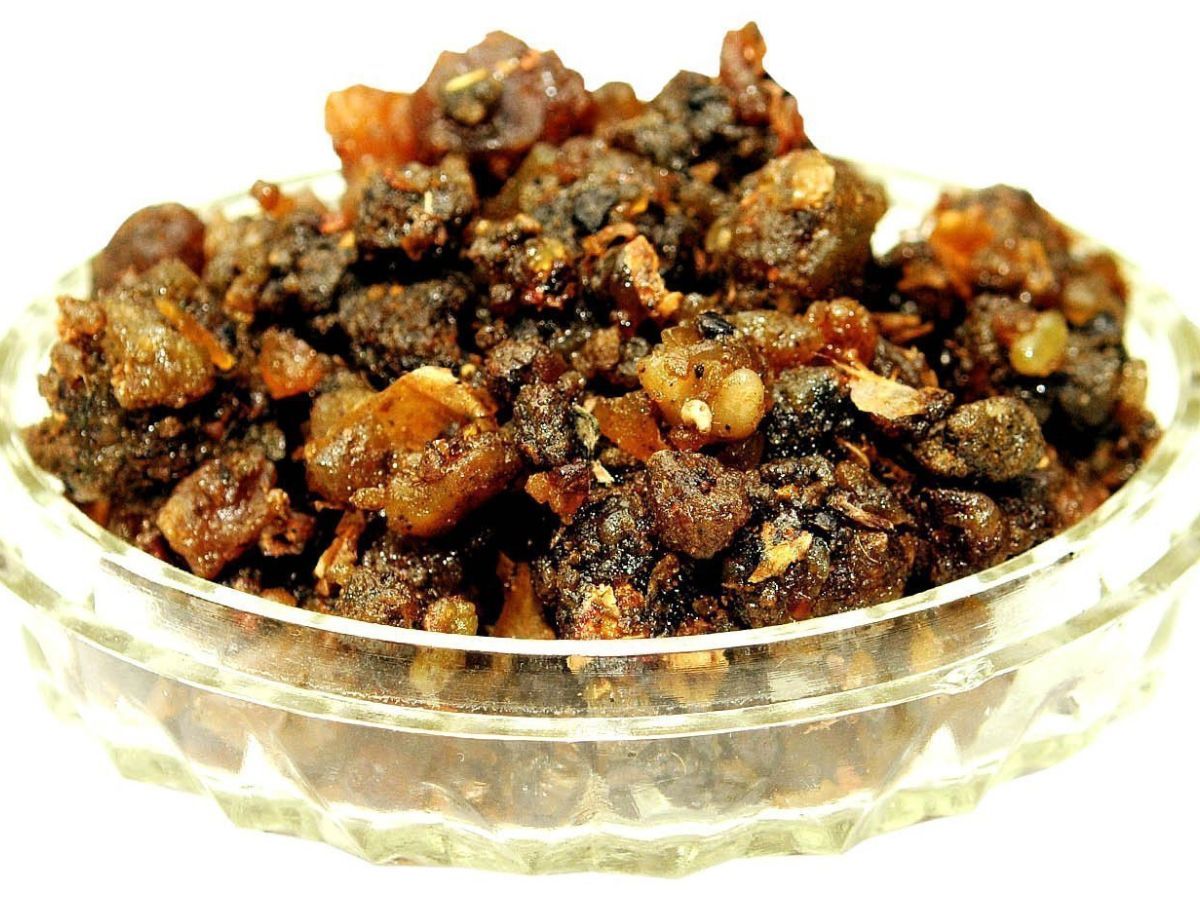 Guggulu - Cholesterol Cleanser