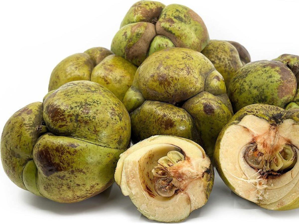 Chalta (Elephant Apple)