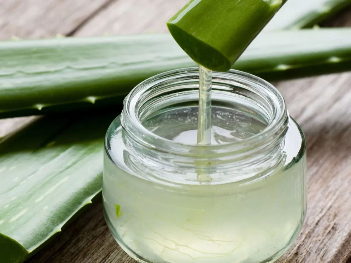 Aloe Vera Gel