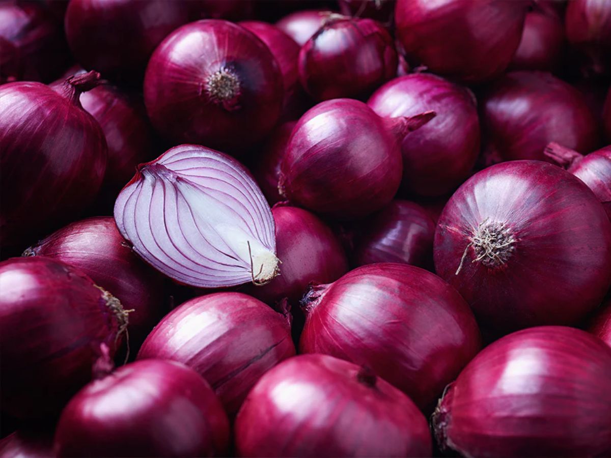 Red Onion