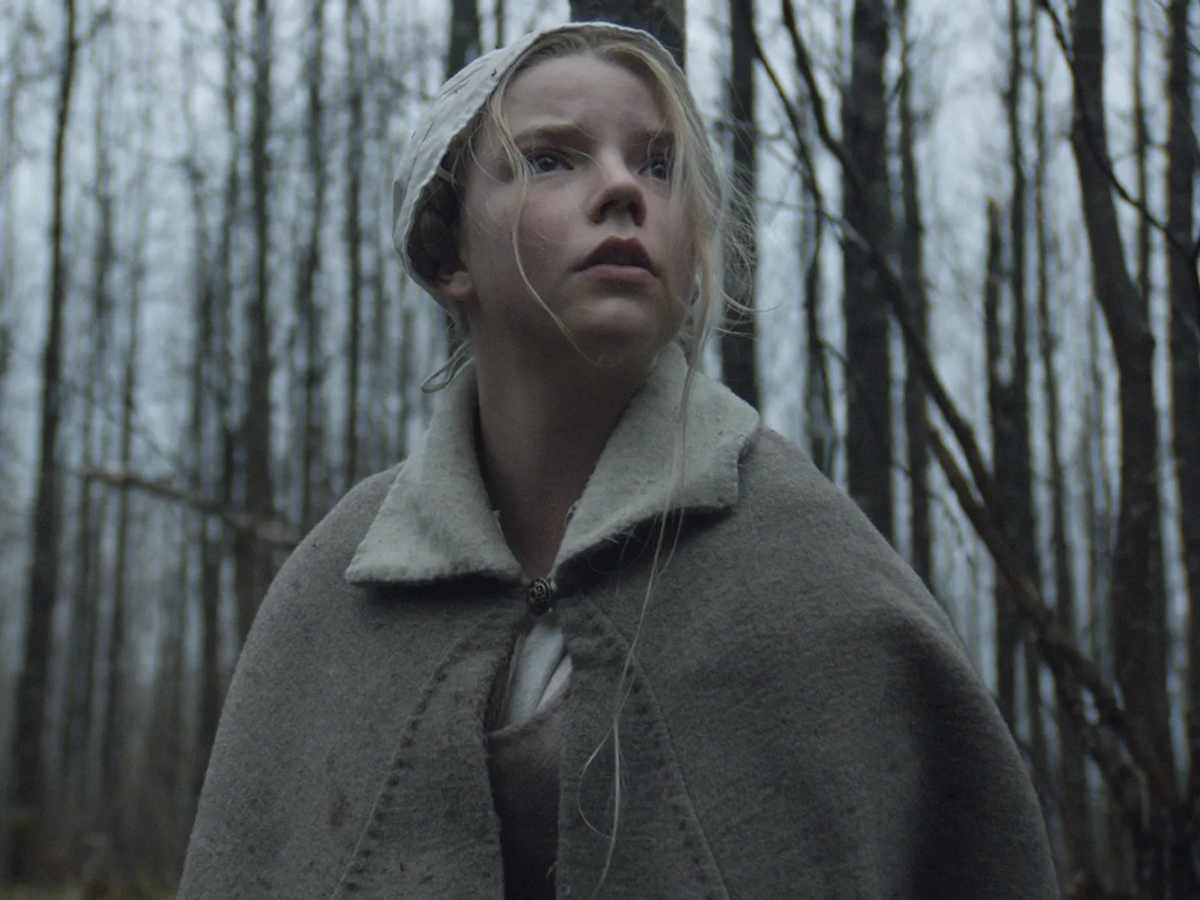 The Witch (2015)