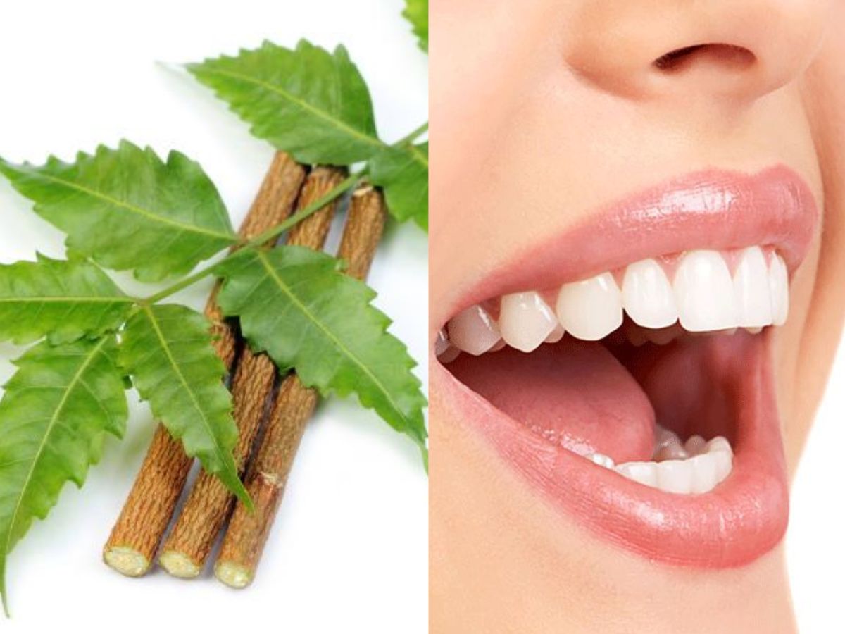 Neem Sticks as a Natural Toothbrush