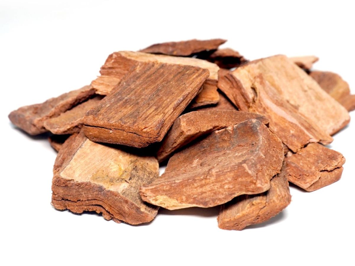 Arjuna - The Heart Guardian