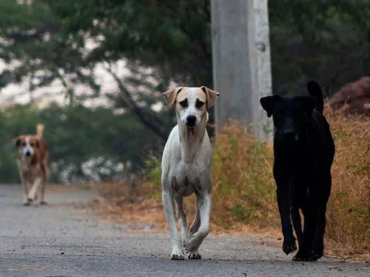 Preventing Health & Sterilization