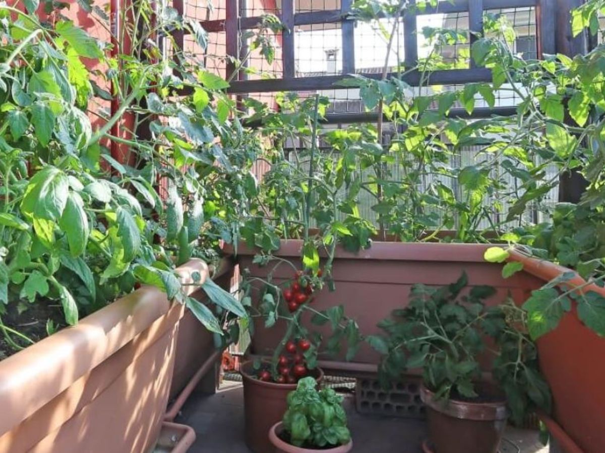 Water in the Morning and Only When Necessary