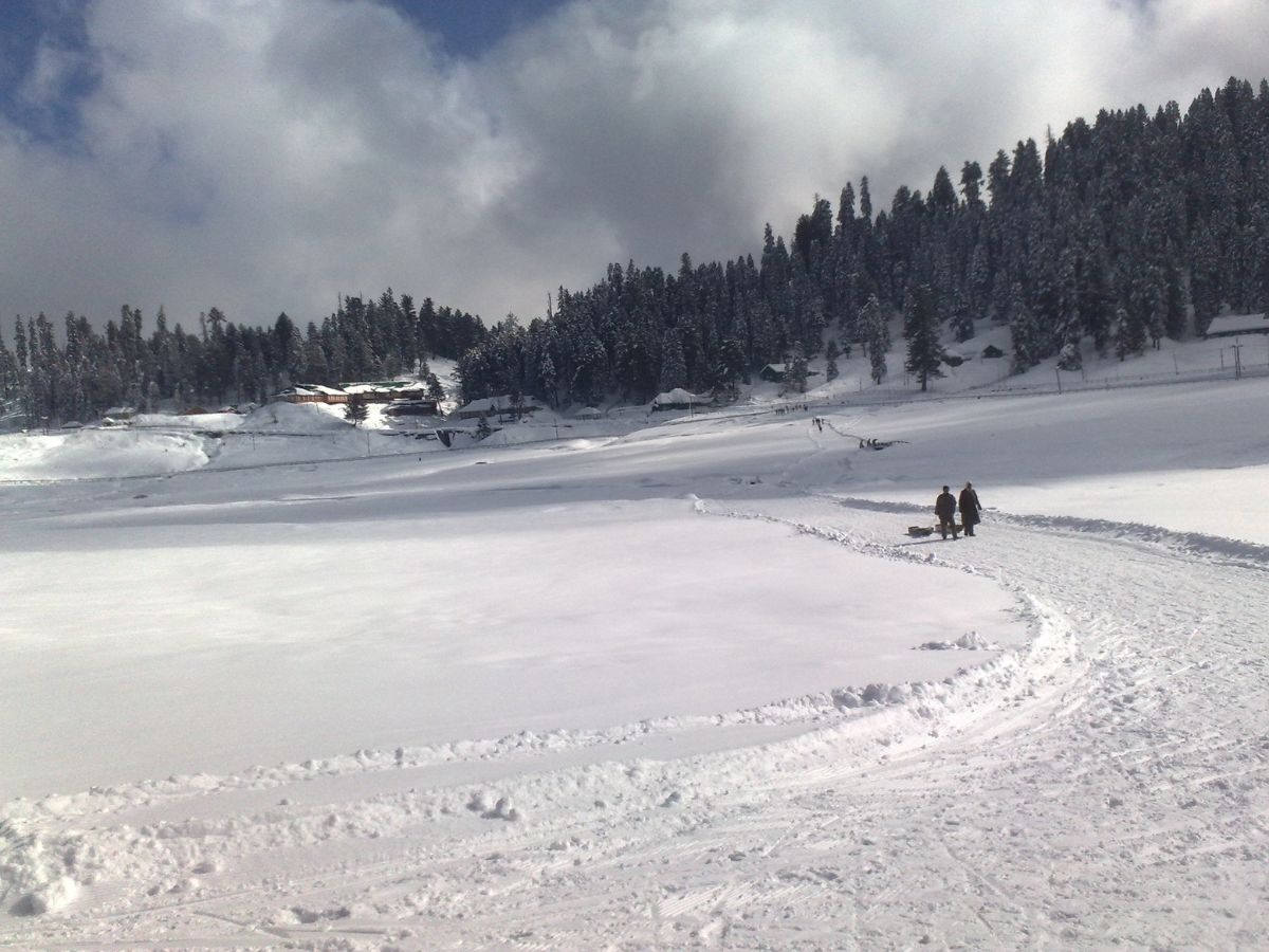 The Meadow of Flowers