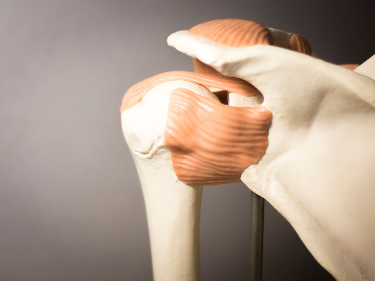 Joint-Friendly Movement