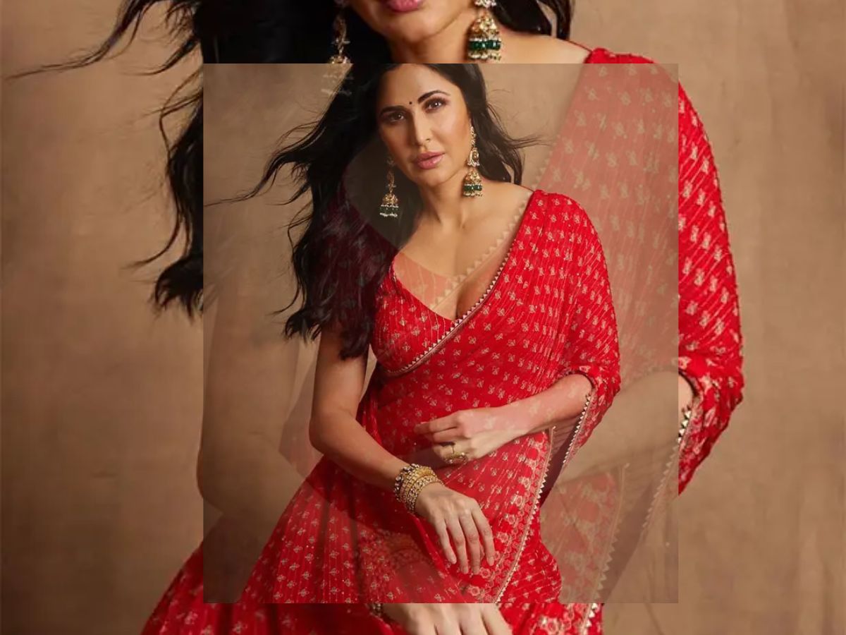 Saree Look That Exuded Pure Elegance and Heat