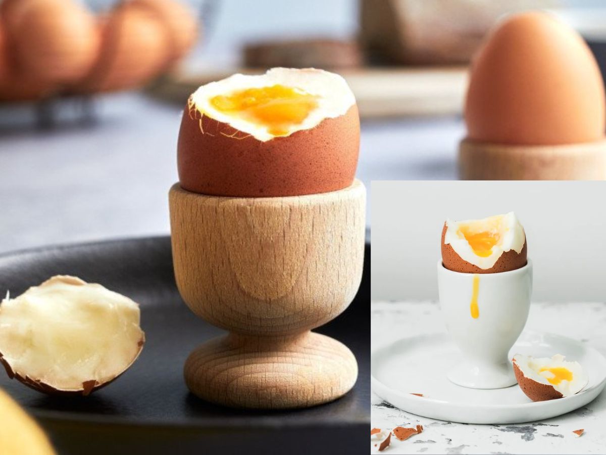 Power Packed Protein