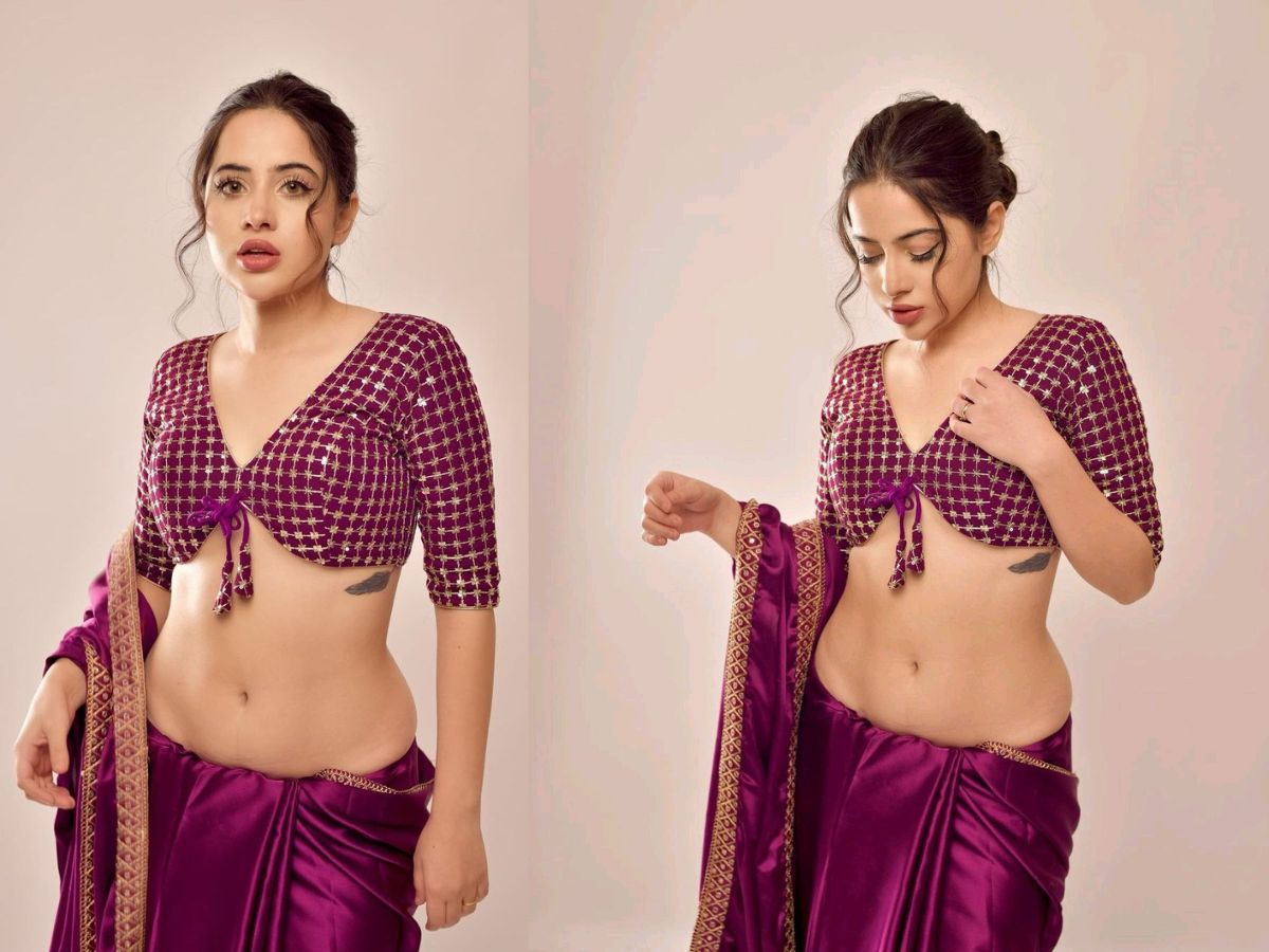 Sexy Falsa Saree