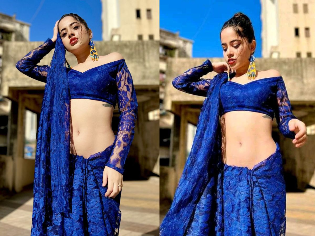 Dark blue net saree