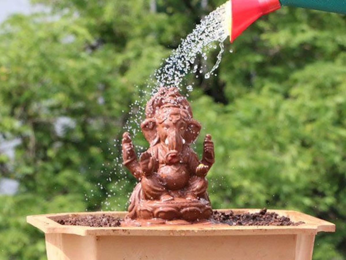 Seed Ganesha Idols