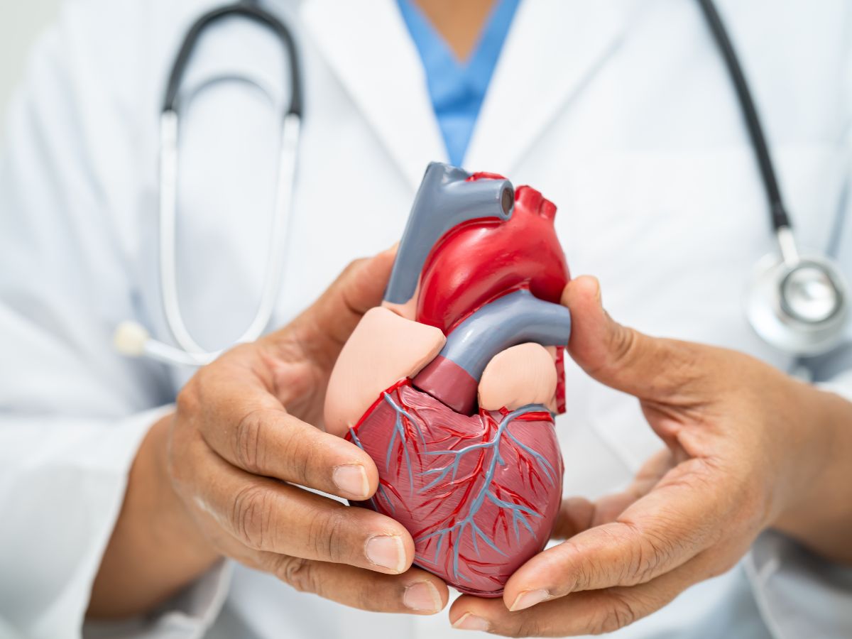 Cardiovascular Effects