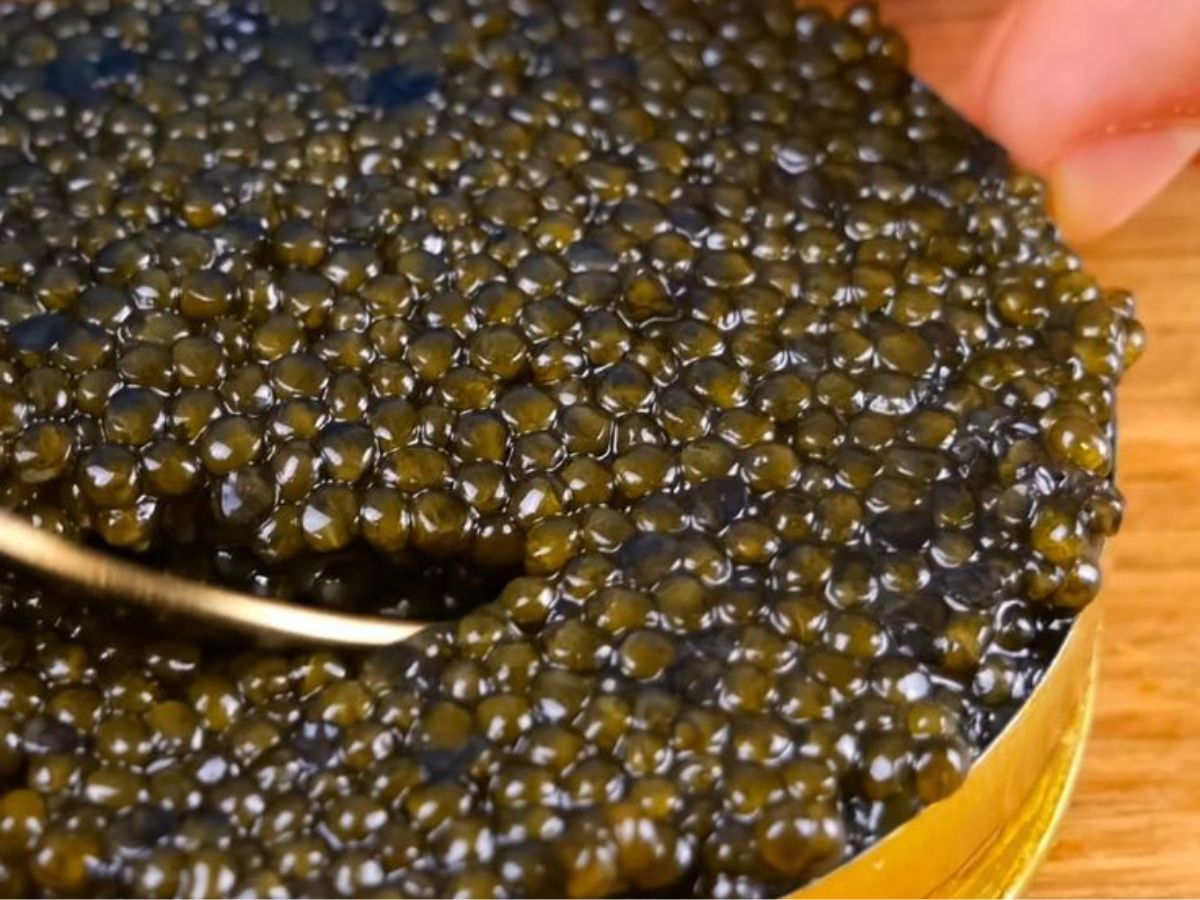 Almas Caviar (Iran)