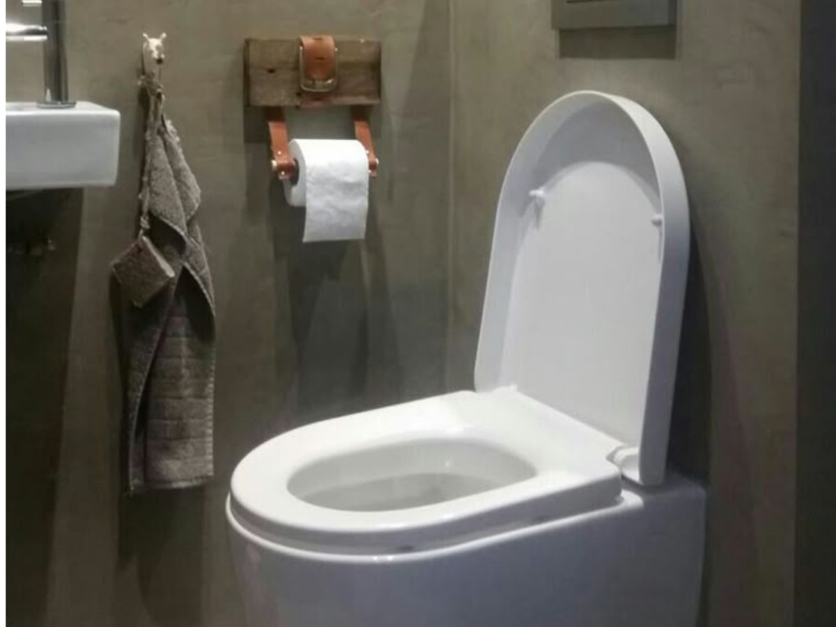 Flushing a Toilet After 10 PM