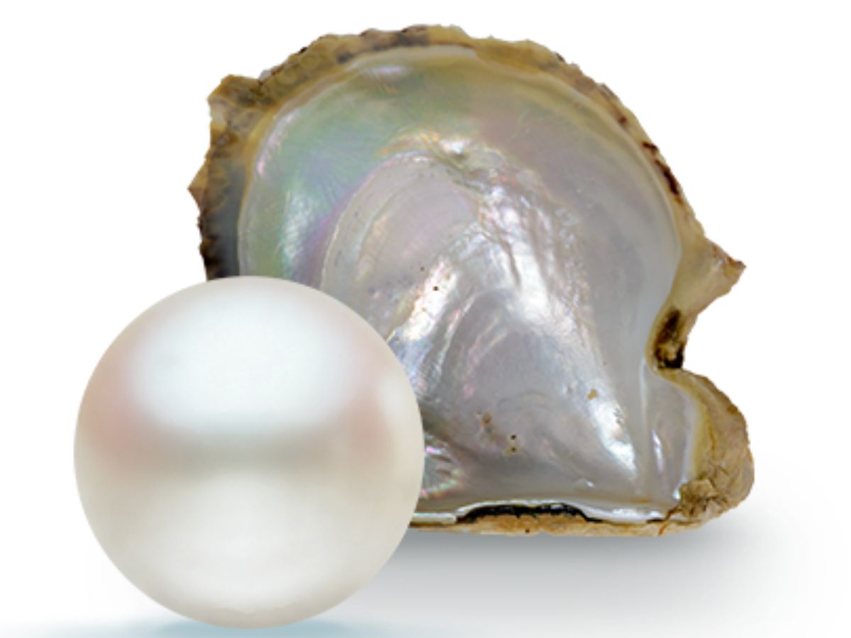 Pearl