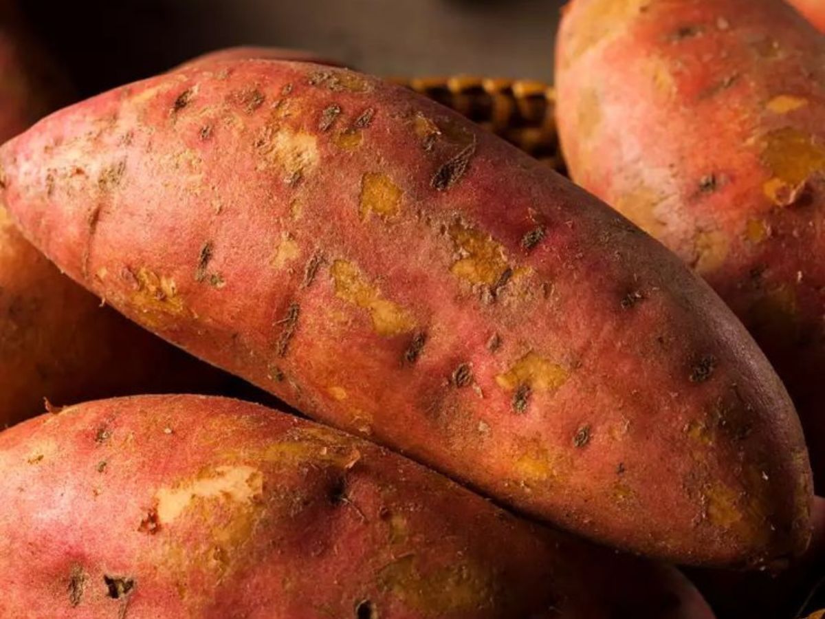 Sweet Potatoes