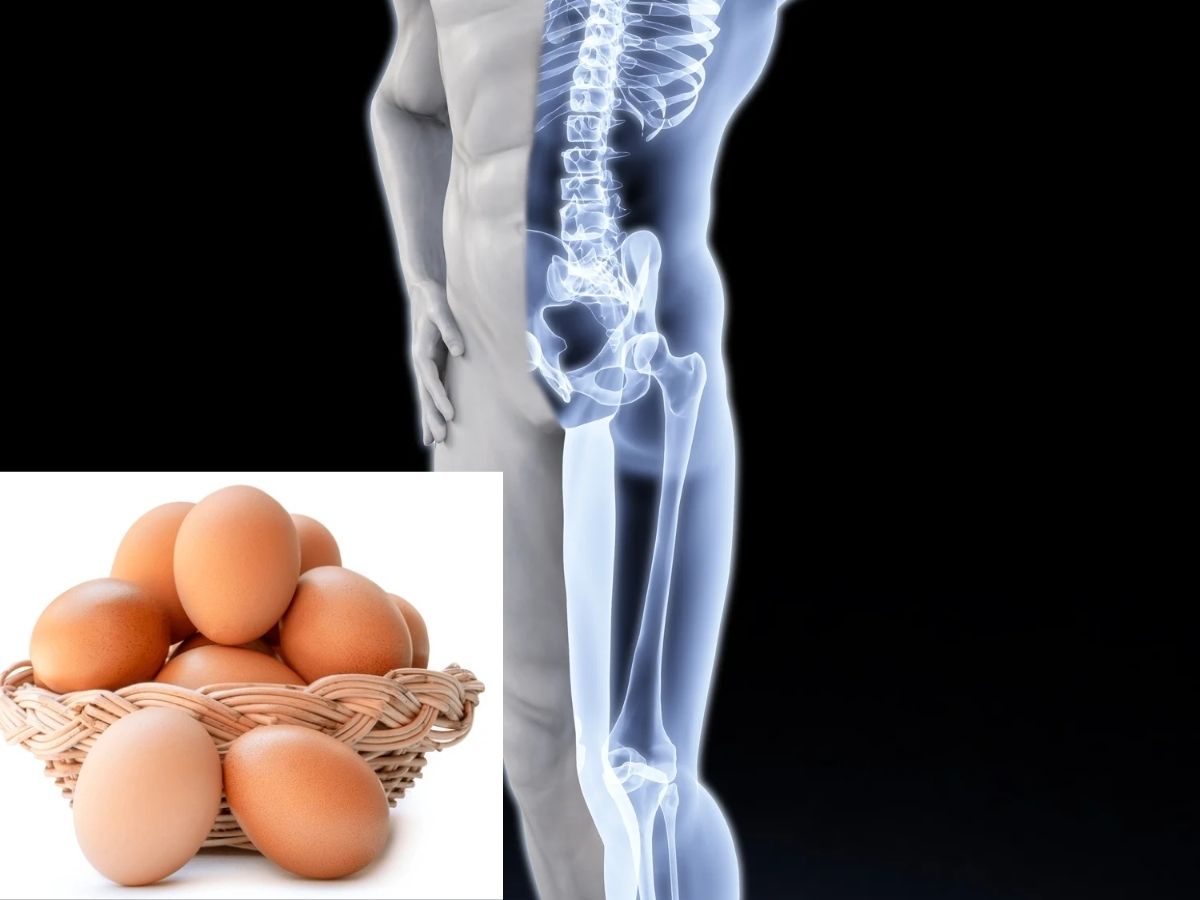 Strong Bones And Teeth's