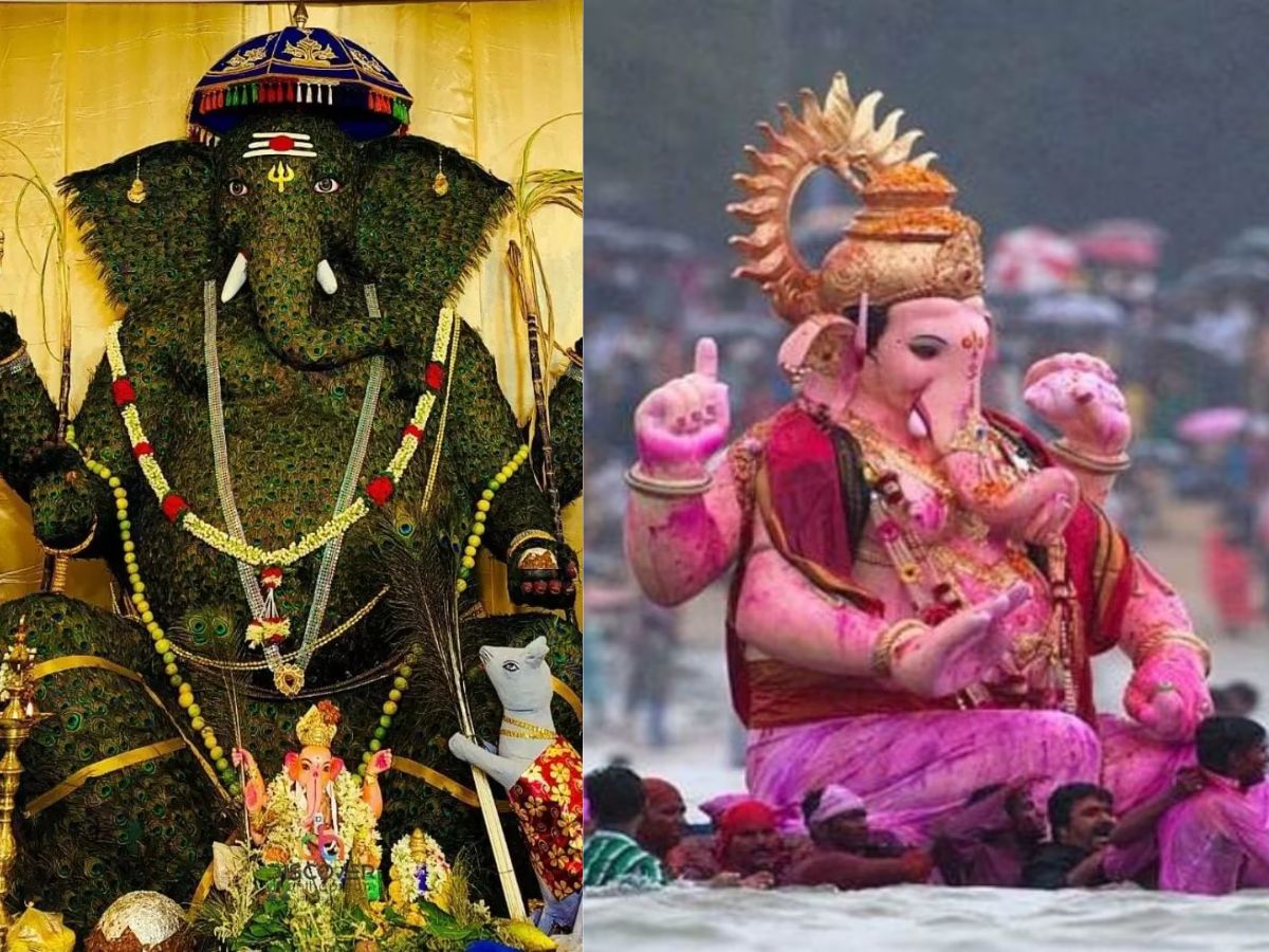 Andhra Pradesh & Telangana