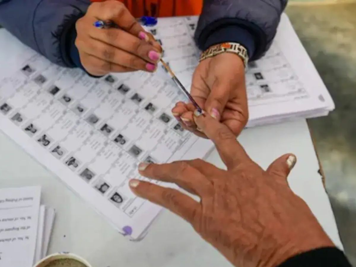 Key Contenders to Watch