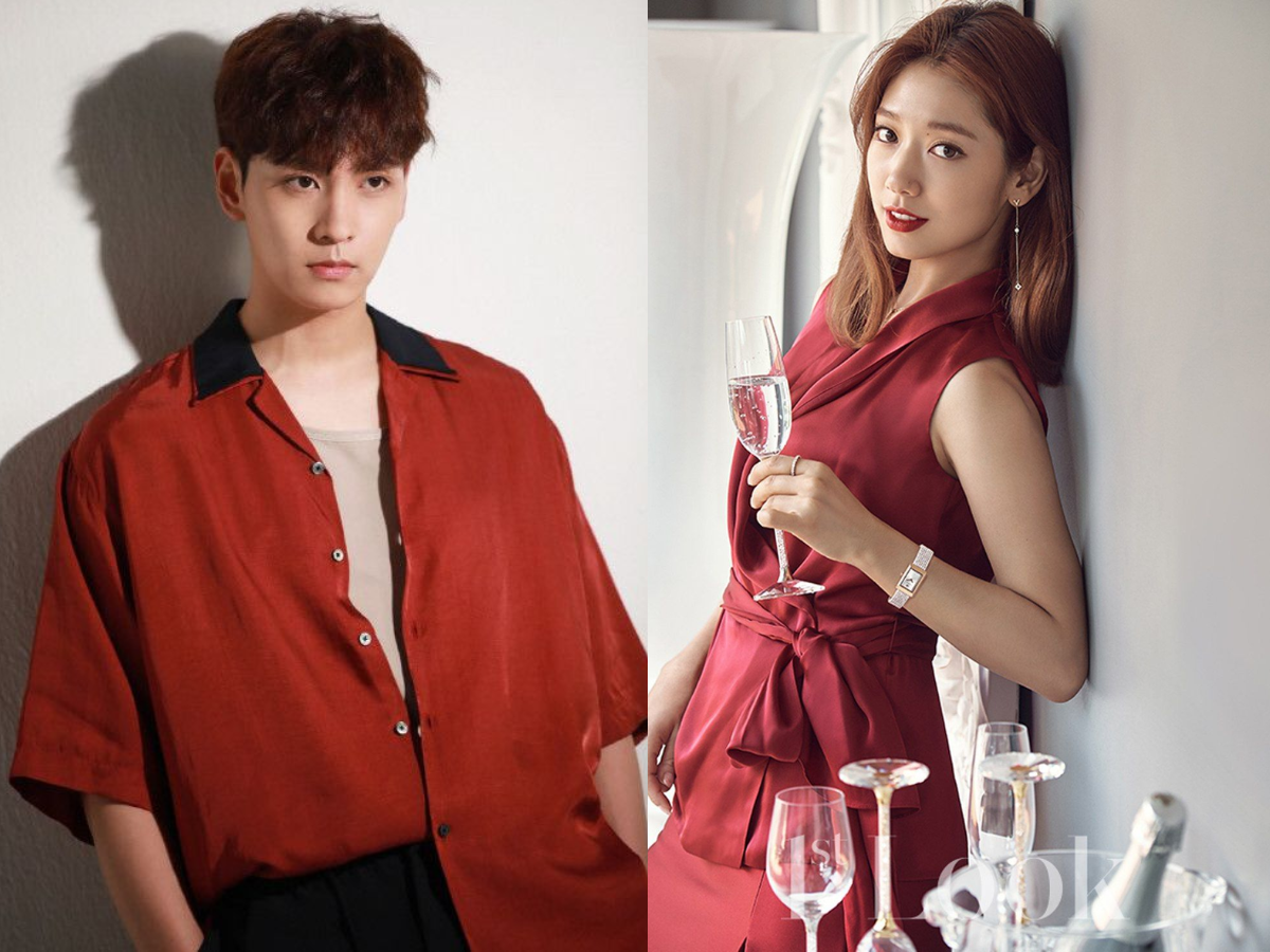 Choi Tae-joon and Park Shin-hye