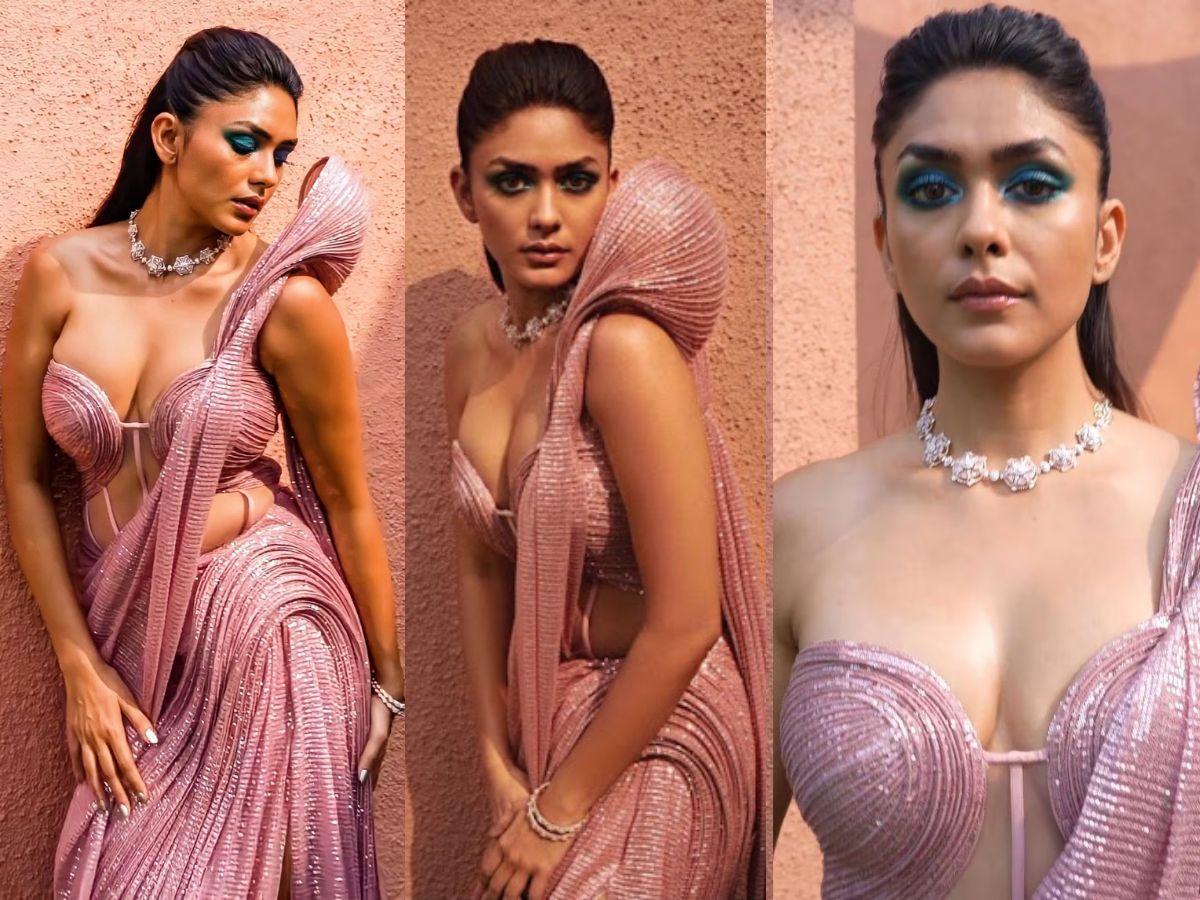 Mrunal Thakur's Hit Films & Roles