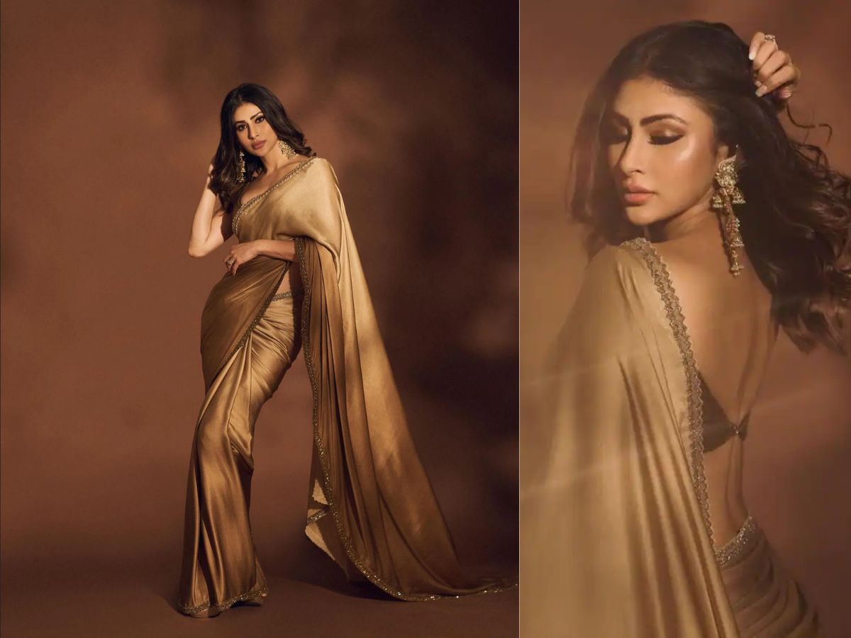 Classy in Bronze Saree