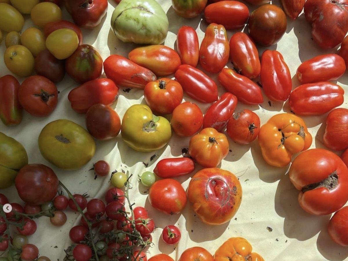 Contributes to Heart Health