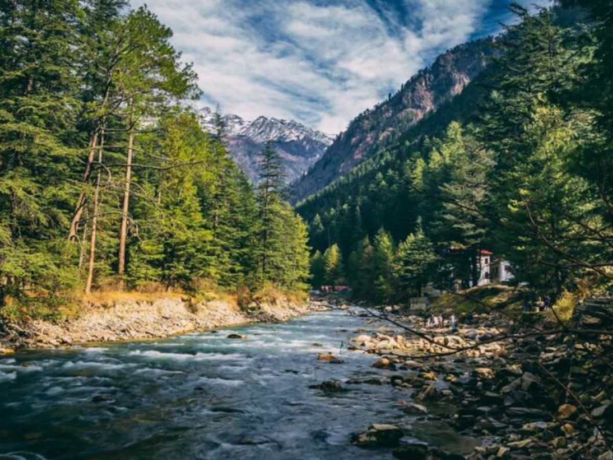 Nature's Caress to Slow Me Down