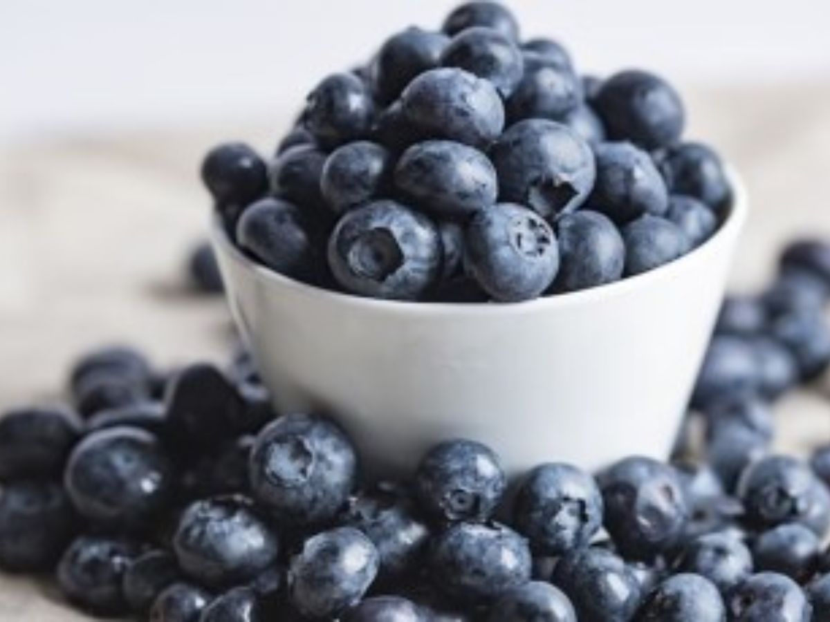 Blueberries – The Antioxidant King