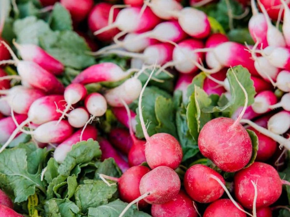 Radishes