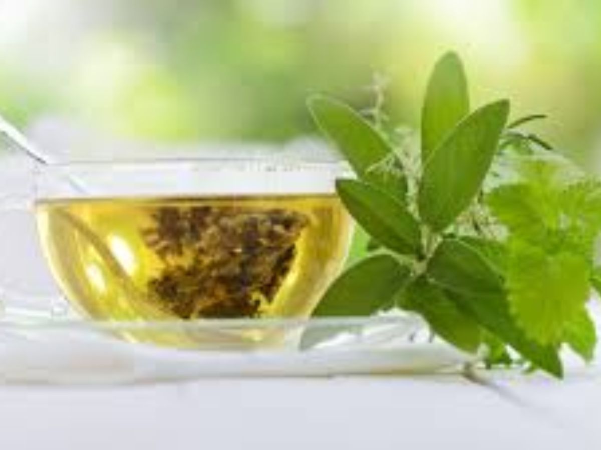Green Tea – Sip Your Way to Longevity