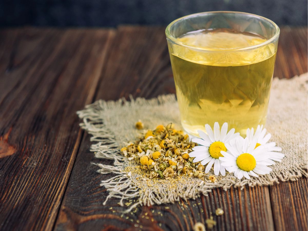 Chamomile Drink for Sleep