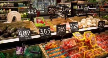 Amid Trump Tariffs, What Do PPI Numbers Reveal About US Inflation?